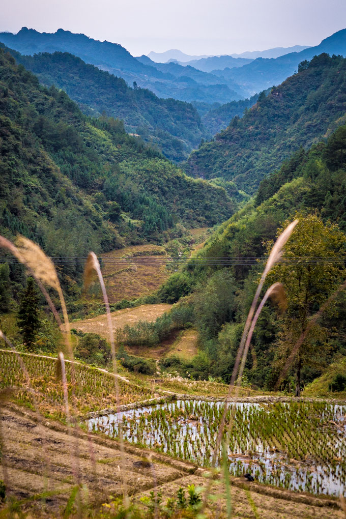 No. 5 Valley in Yangjiajie, China