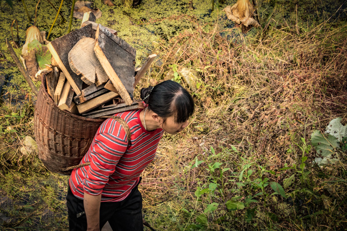 Woman carrying wood in Yangjiajie, China