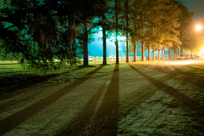 Savannah, Georgia light through trees on a farm at night