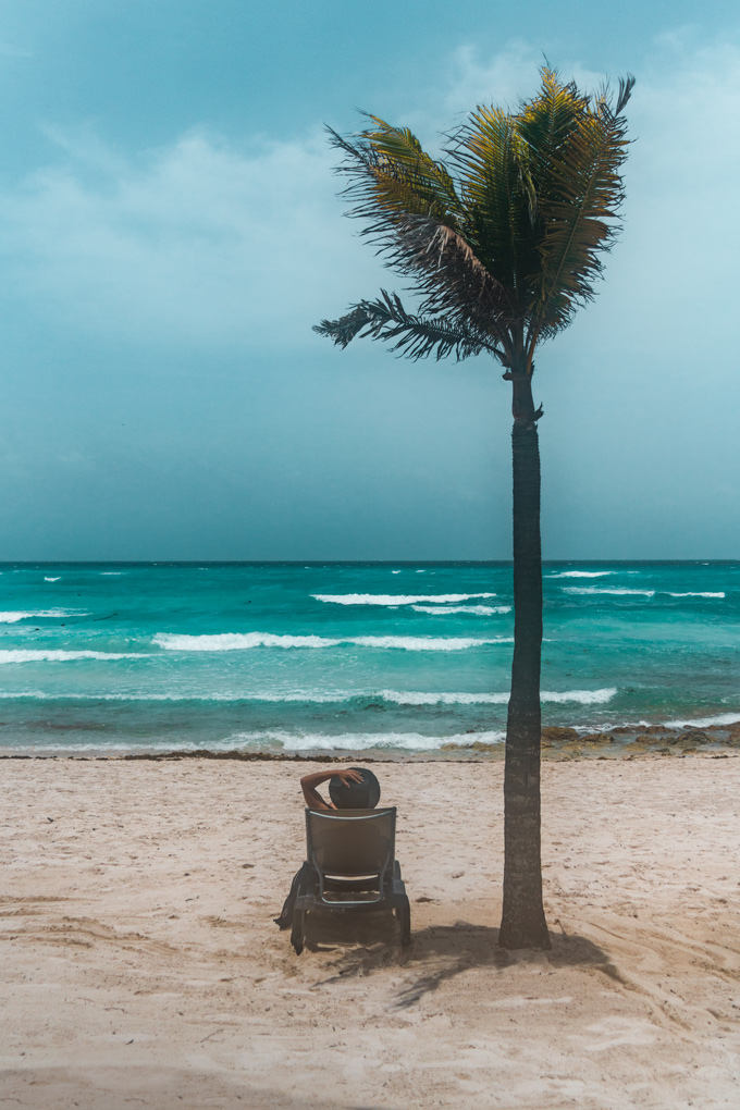 Riviera Maya, Mexico beach palm tree