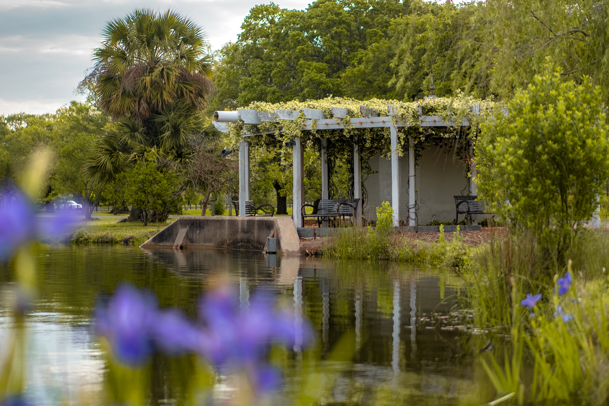 PetersonJessica_Photo_USA_NewOrleans_Louisiana_CityParkFlowersLake