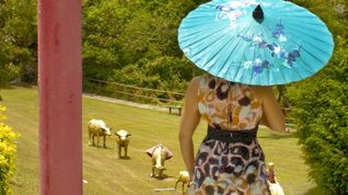 chinese-park-feat