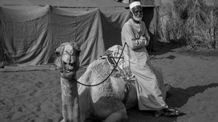 camel and man