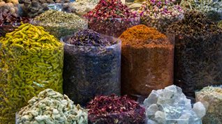 spices-1-H-feat