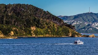 NZ-ferry-land-boat-feat
