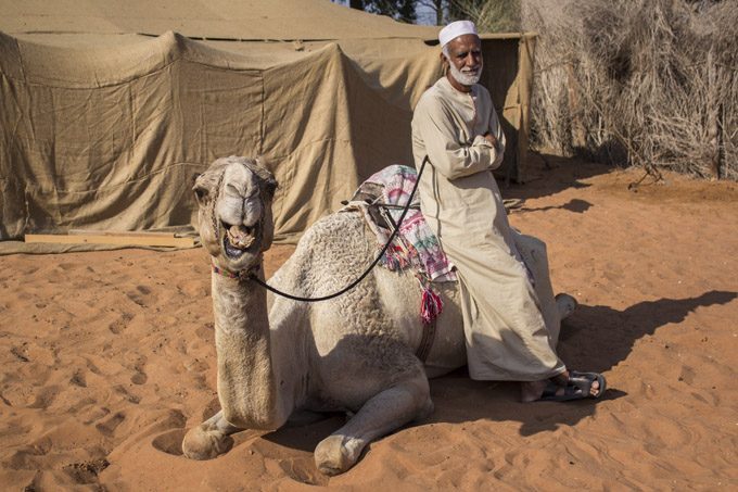 camel man H hi