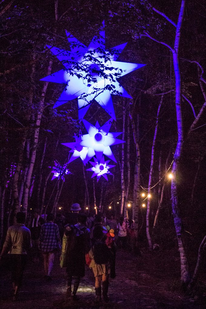 fuji rock festival forest lights