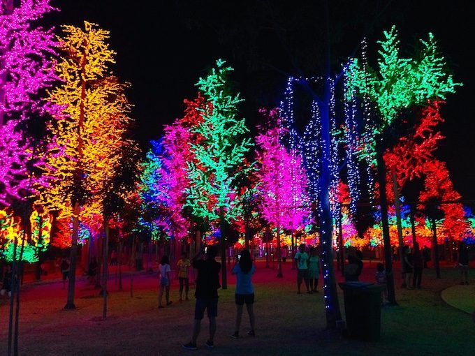 Malaysia trees and lights