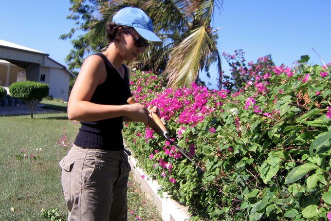 White woman working in Jamaica