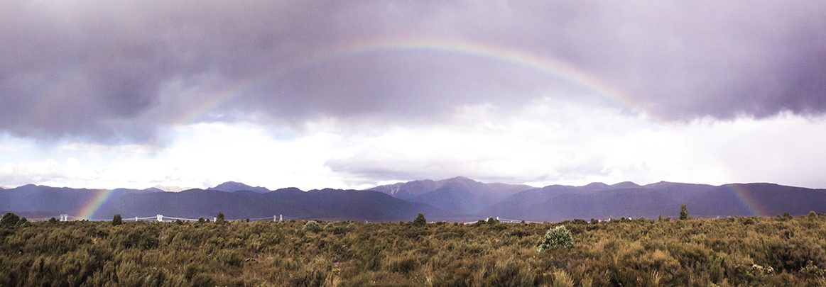 New Zealand rainbow