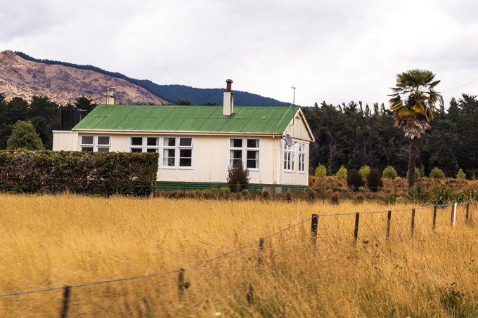 New Zealand green roof house