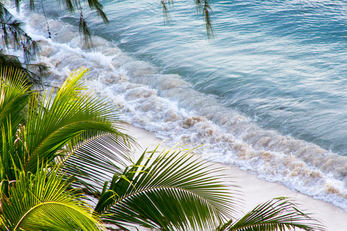 Saipan-beach-trees-close-H2