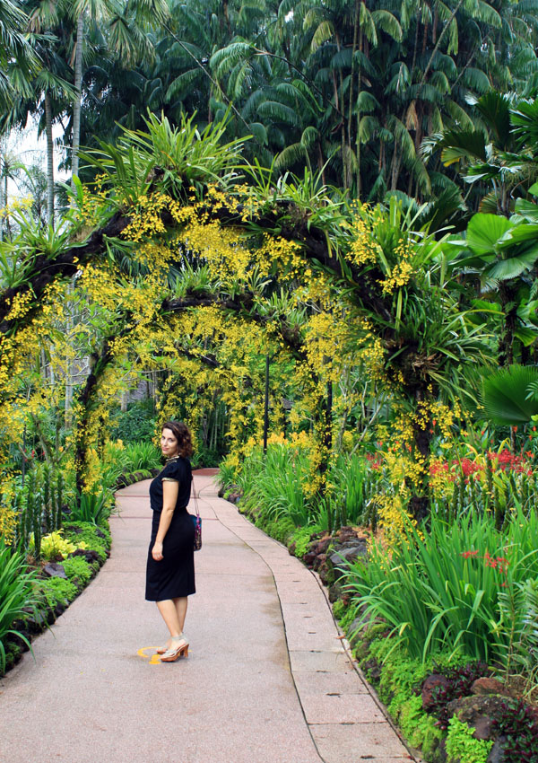 Singapore botanic gardens