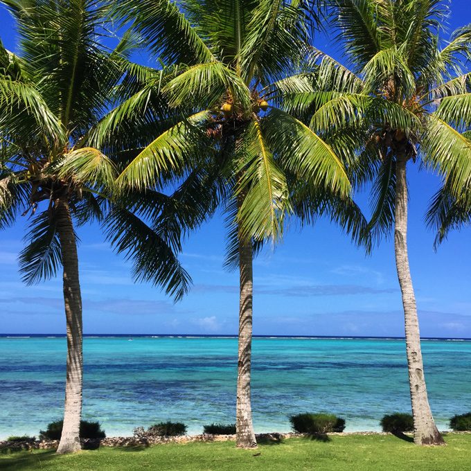 Saipan-palm-trees-Instagram