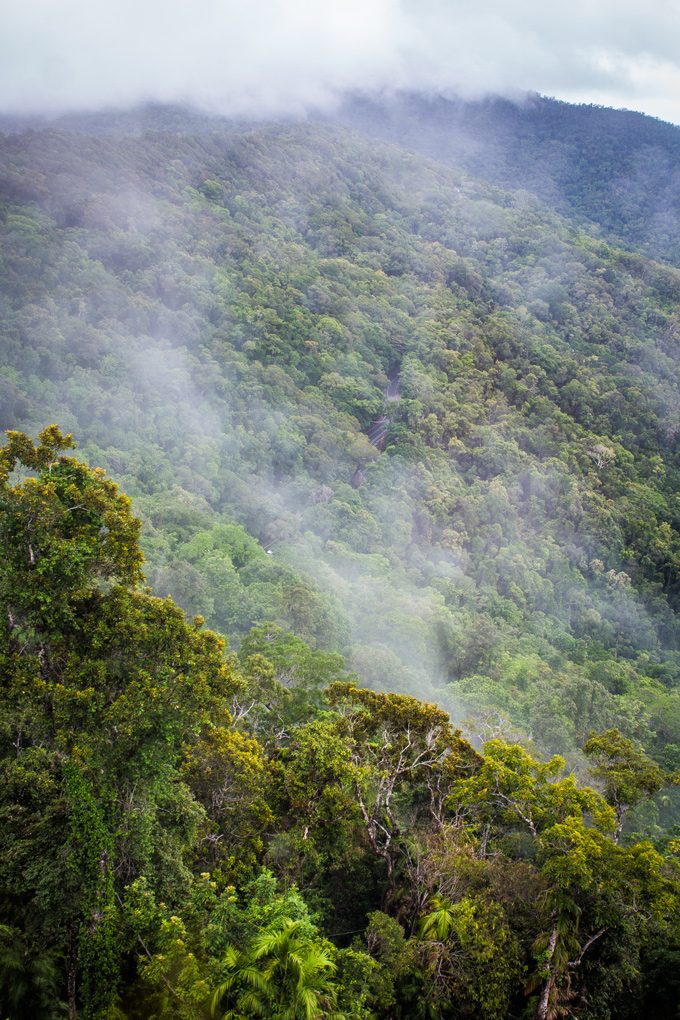 Cairns-kuranda-sky-view-fog-V