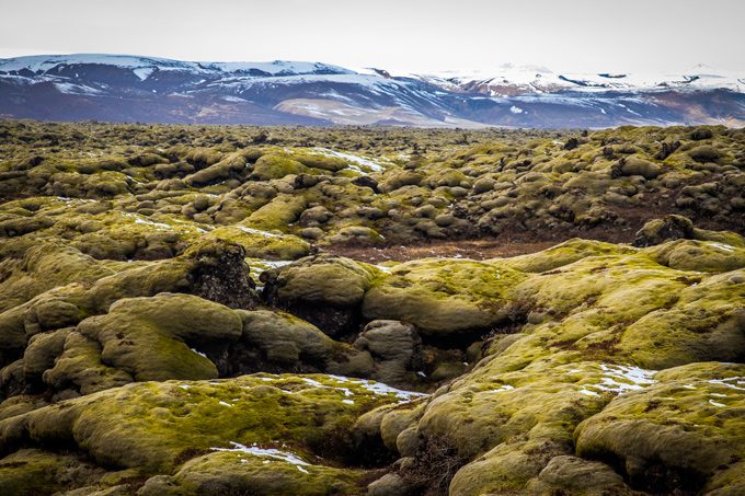 Mts-moss-lava-tubes-H