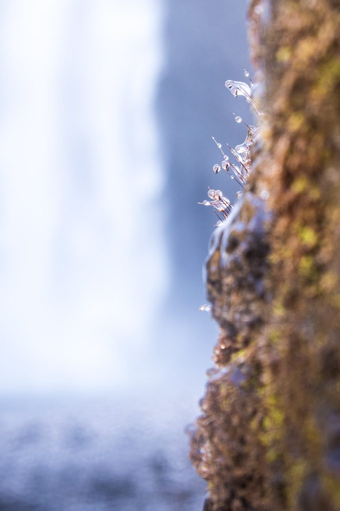 skogafoss-ice-detail-V