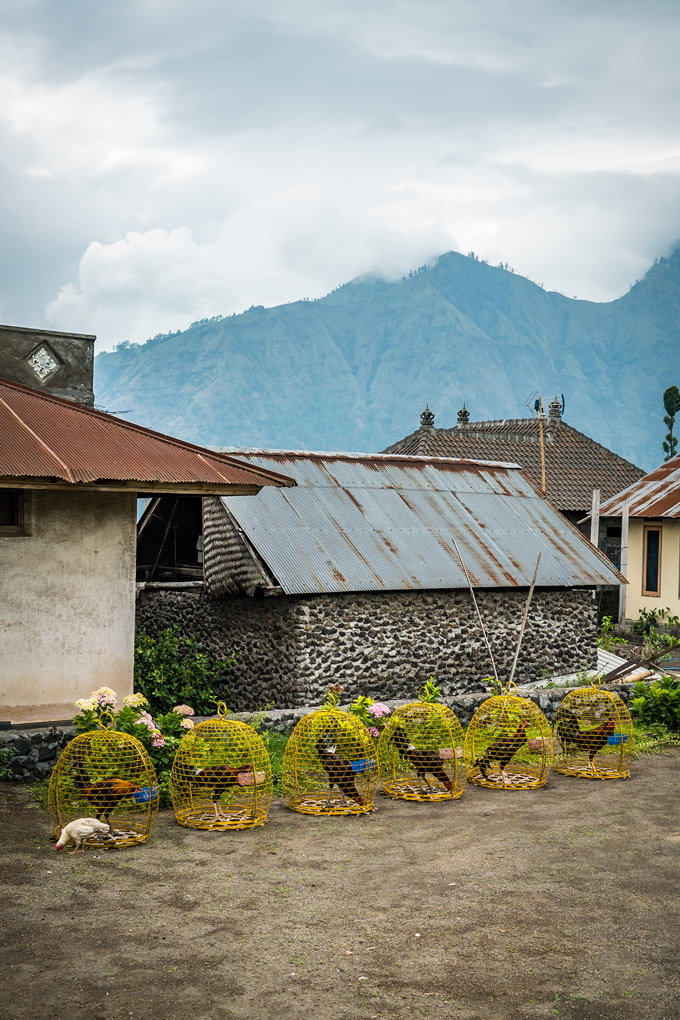 BalichickensV Global Girl Travels