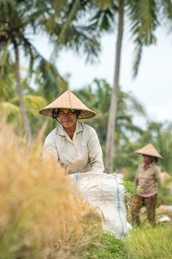 Bali-rice-field-women-V