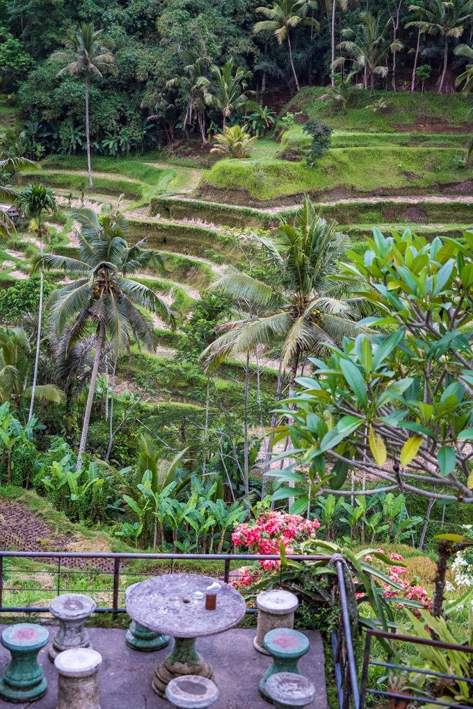 Tegallalang Rice Field, Bali