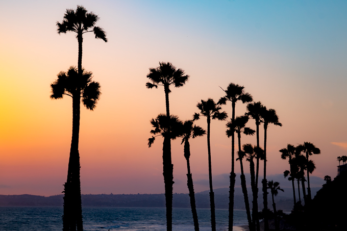 Tall palm trees at sunset in San Clemente, California beach