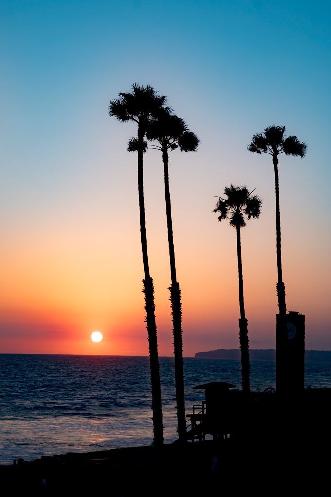 Tall palm trees at sunset in San Clemente, California beach