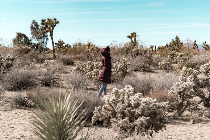 Jessica Peterson of Global Girl Travel at Joshua Tree National Forest Park in California