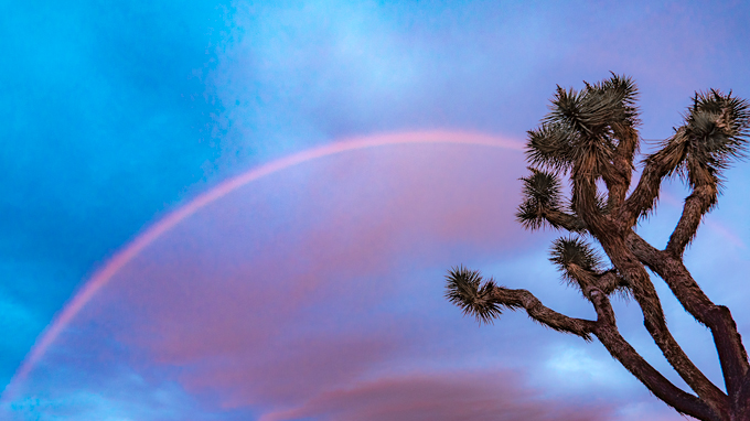 Rainbow sunrise over Joshua Tree National Park, California