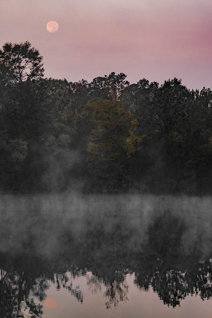 Fog and mist over Savannah, Georgia farm lake